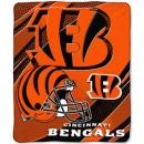 C BENGALS