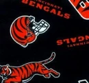 C BENGALS