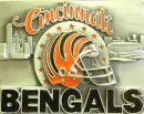 C BENGALS