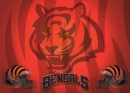 C BENGALS