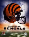 C BENGALS