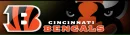 C BENGALS