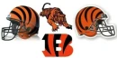 C BENGALS