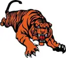 C BENGALS