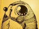 owl