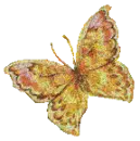 mariposa amarilla