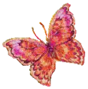mariposa ocr