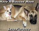 Have A Blessed Week