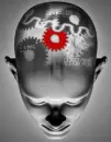 Mind is machine
