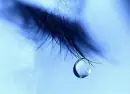 A tear