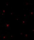 red stars