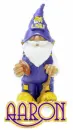 LSU Gnome - Aaron