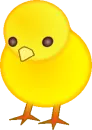 Cute Little Chicky