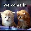cats