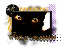 Trick or mewww