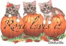 Roni Loves it kittys
