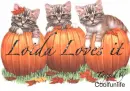 Loida Loves it kittys