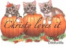 Christy Loves it kittys