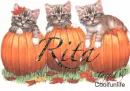 Rita kittys