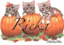 Rieka kittys