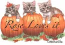 Rose loves it
