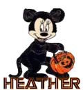 MINNIE CAT WITH HEATHER