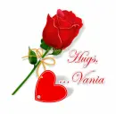 a rose for you-Vania