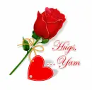 a rose for you-Yam