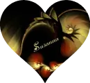 SUSANNA
