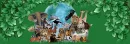 WILD KINGDOM