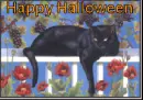Happy Halloween cat