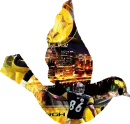 STEELERS