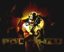 STEELERS