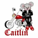 Caitlin