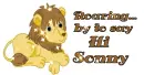 Say Hi Sonny