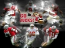OHIO STATE