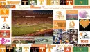 VOLS 