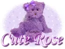 Cute Rose