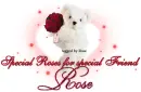 Special Roses for special Friend