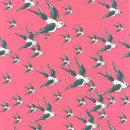 bird background