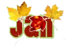 Fall Leaves