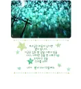 stars