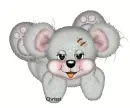 creddy