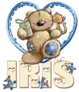Iris ... gift bear