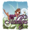 Siddiqa