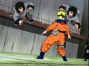Naruto vs. Kiba and Akamaru