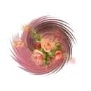 swirl