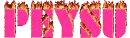 PEYSU