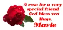 special friend Marie