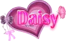 Daisy